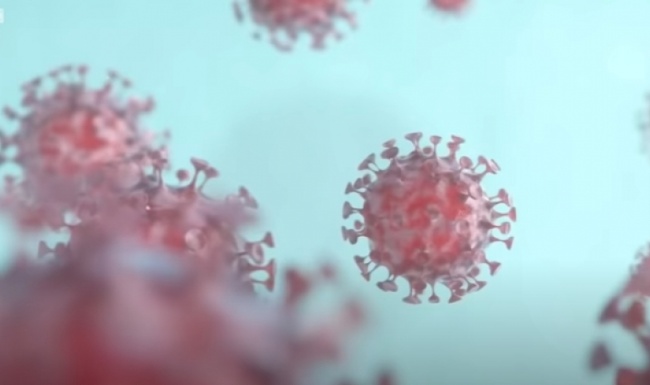 Coronavírus: O que a covid-19 faz com o seu corpo