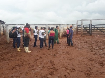 Curso de Inseminação Artificial em Bovinos é realizado em Araguaiana em parceria com o SENAR - Serviço Nacional de Aprendizagem Rural